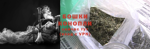стафф Каменка