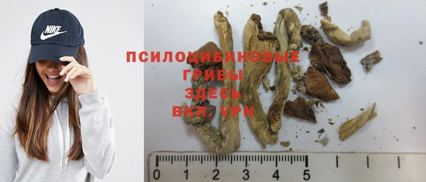 ГАЛЛЮЦИНОГЕННЫЕ ГРИБЫ Алзамай