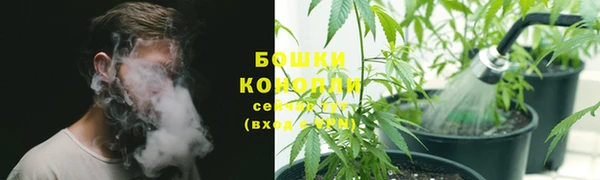 ALPHA PVP Каменногорск