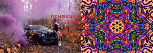 дживик Алексеевка