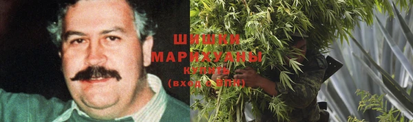 ГАЛЛЮЦИНОГЕННЫЕ ГРИБЫ Алзамай